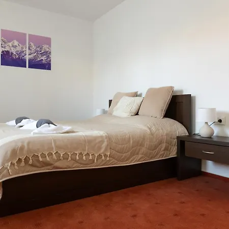 公寓 Large One Bedroom With Terrace Next To The Lift 班斯科