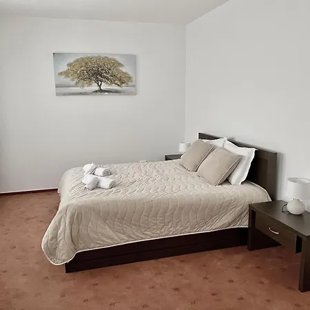 Large One Bedroom With Terrace Next To The Lift 公寓 班斯科