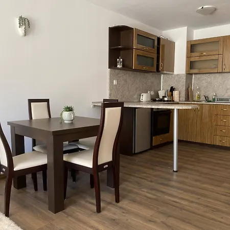 Large One Bedroom With Terrace Next To The Lift Bansko