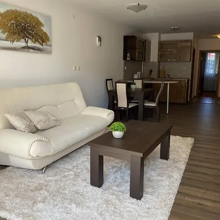דירה Large One Bedroom With Terrace Next To The Lift בנסקו