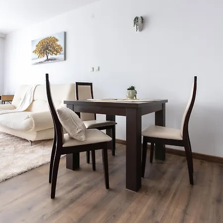 Large One Bedroom With Terrace Next To The Lift